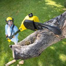 Organic Lawn Care Solutions in Elgin, OK